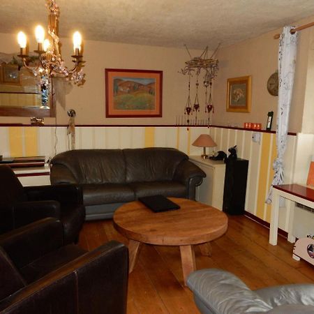 Spacious Holiday Home With Sauna In Celles Sur Plaine Eguisheim Εξωτερικό φωτογραφία