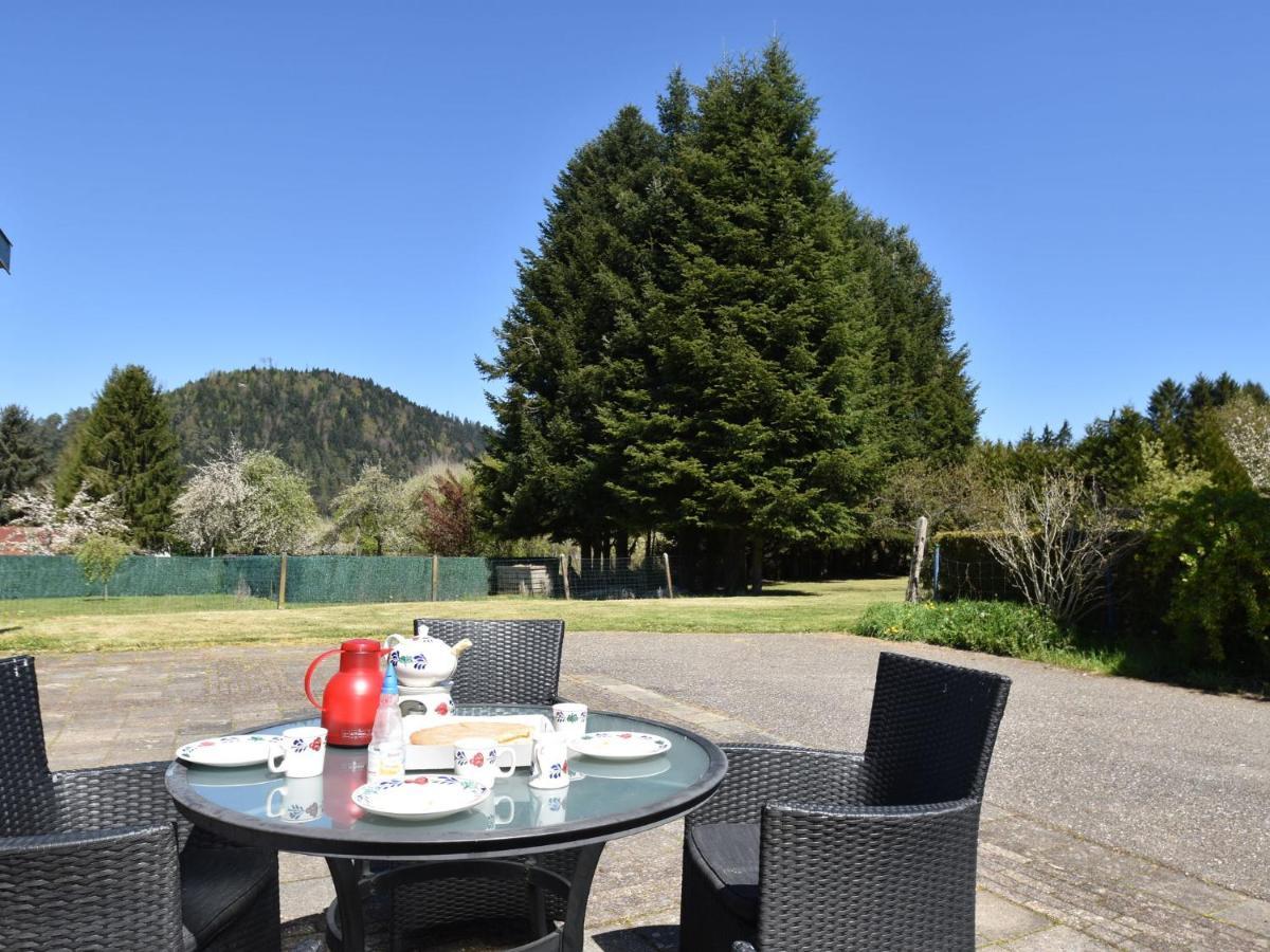 Spacious Holiday Home With Sauna In Celles Sur Plaine Eguisheim Δωμάτιο φωτογραφία