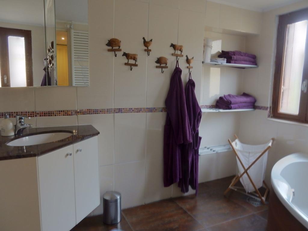 Spacious Holiday Home With Sauna In Celles Sur Plaine Eguisheim Εξωτερικό φωτογραφία