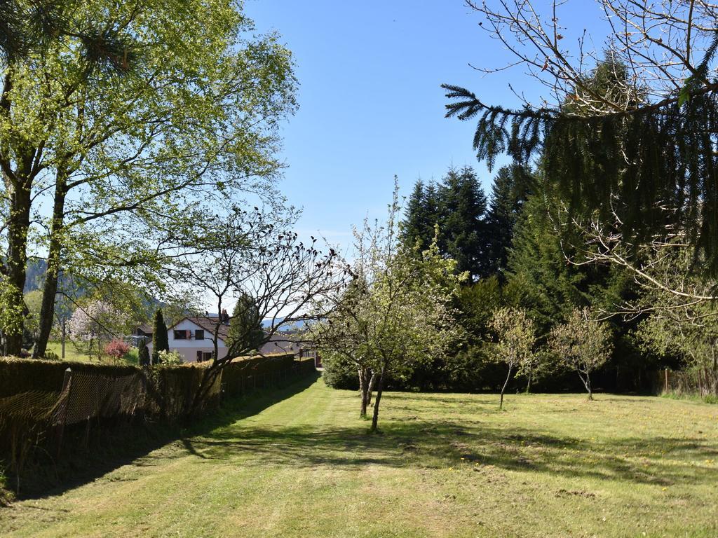 Spacious Holiday Home With Sauna In Celles Sur Plaine Eguisheim Εξωτερικό φωτογραφία