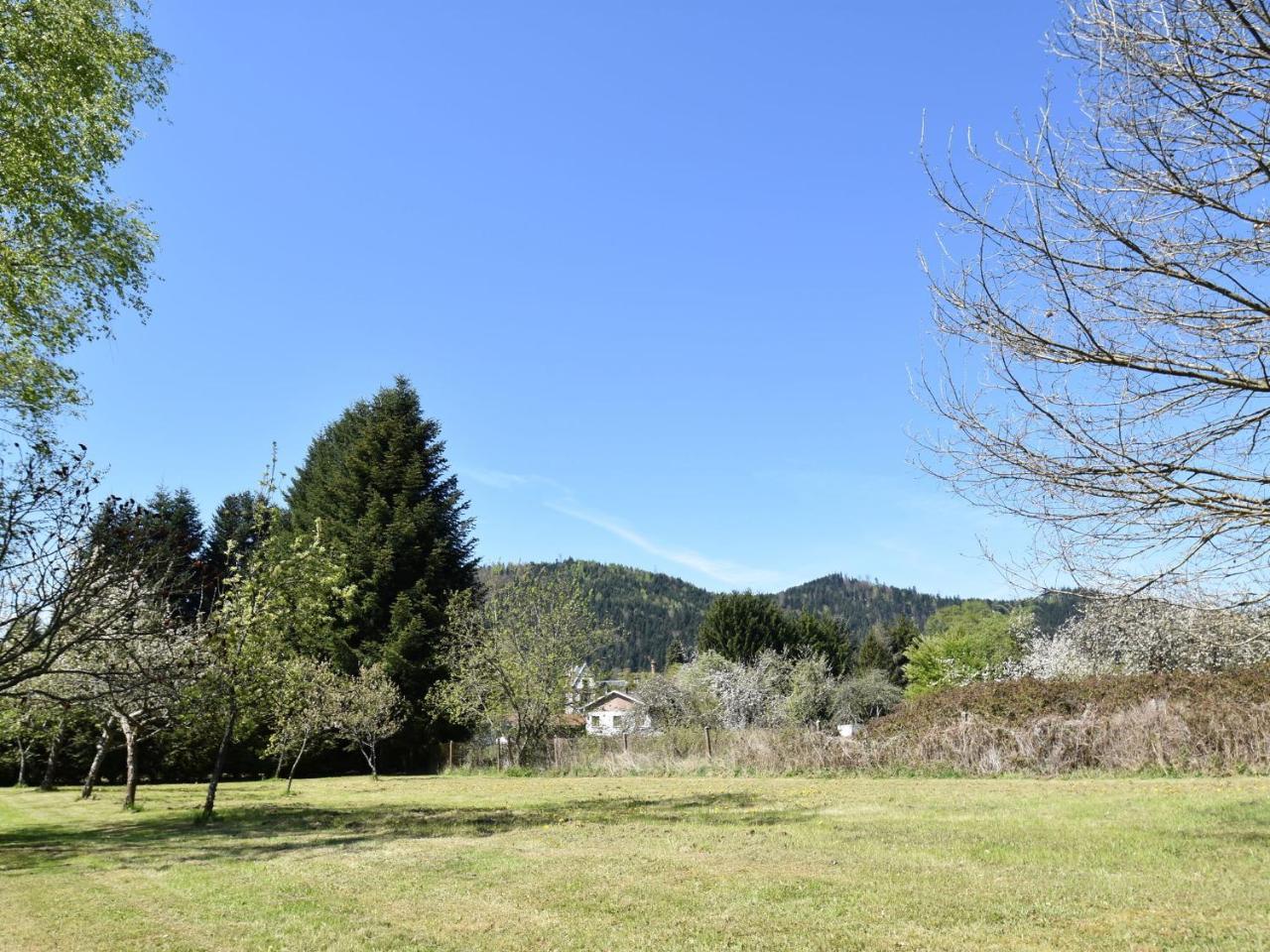 Spacious Holiday Home With Sauna In Celles Sur Plaine Eguisheim Εξωτερικό φωτογραφία